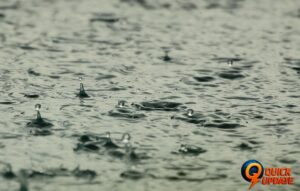 Heavy Rain Continues to Lash Kerala, IMD Puts 11 Districts on Red Alert